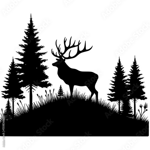 deer in the forest