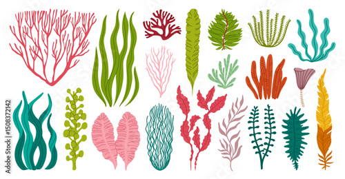 Seaweeds and corals or sea algae and underwater plants, vector cartoon set. Ocean seaweeds and tropical undersea algae and kelp of laminaria leaf and green aquatic plants or seagrass and moss