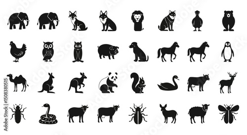 Collection of Silhouette Animals Mammals Birds Reptiles and Insects