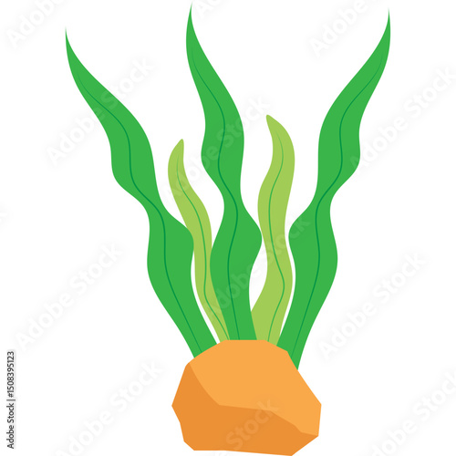 Seaweed Illustration