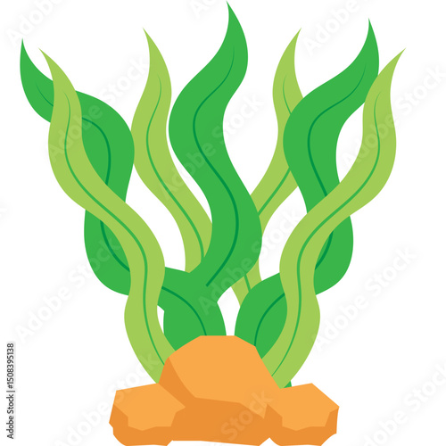 Seaweed Illustration