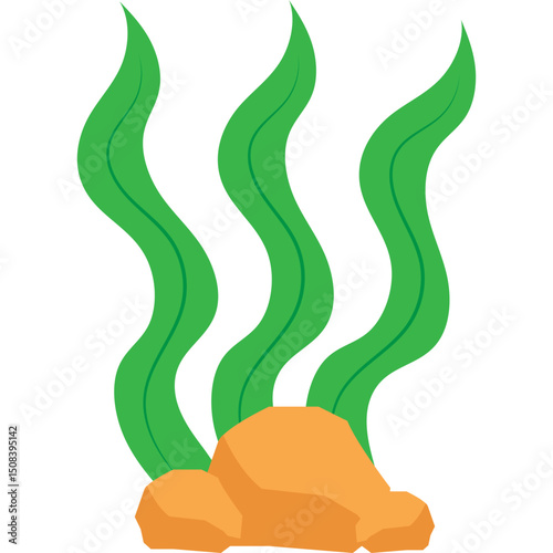 Seaweed Illustration