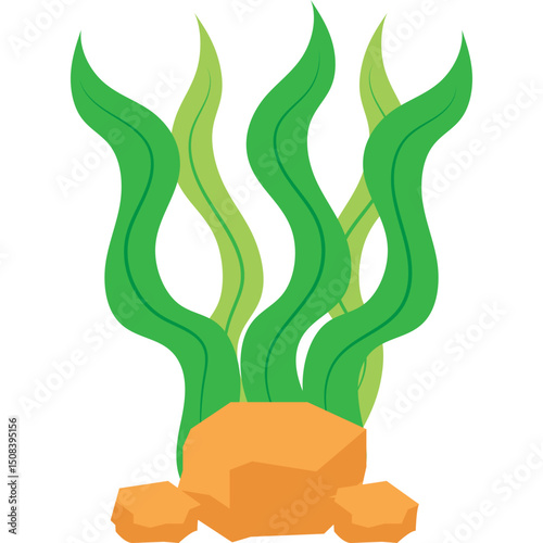 Seaweed Illustration