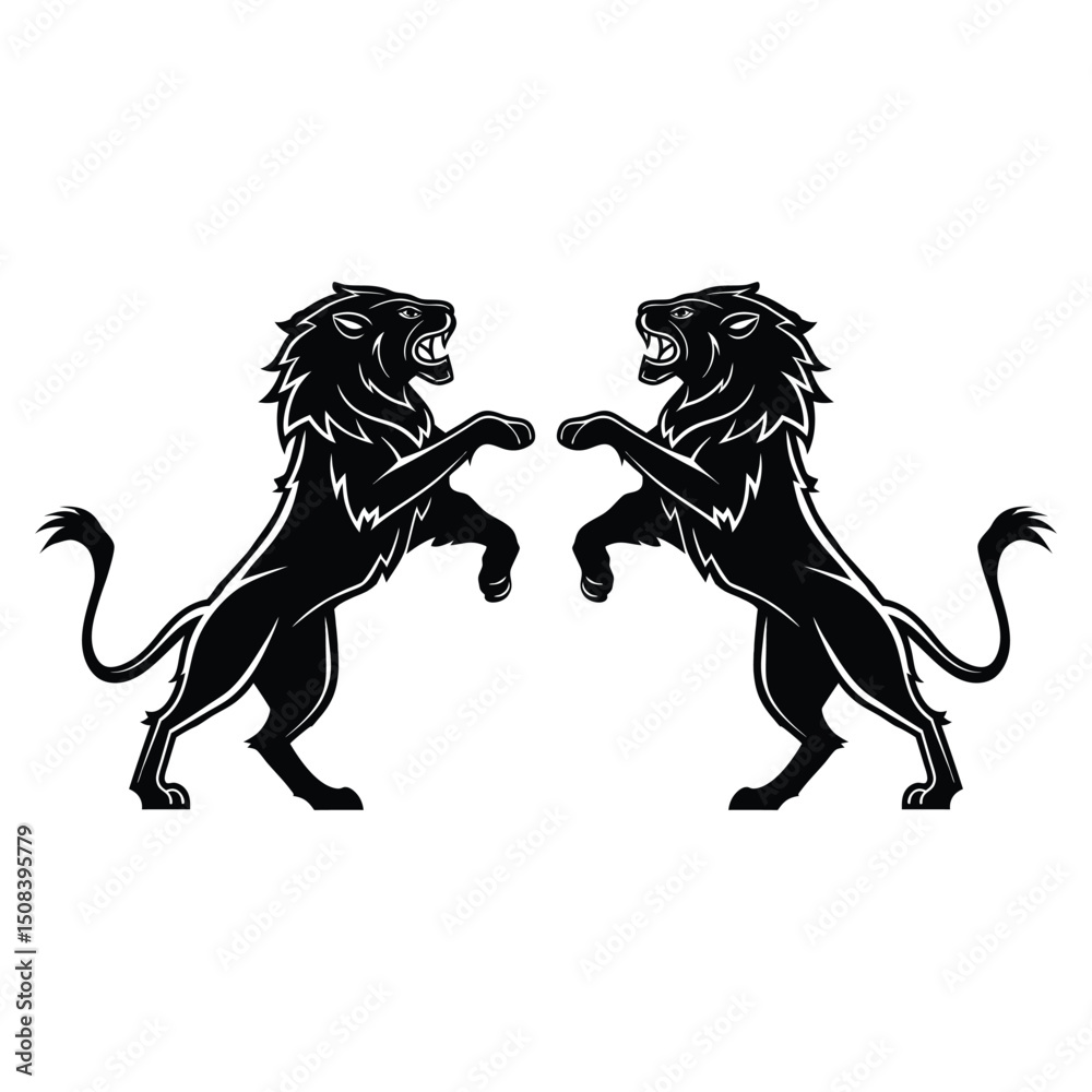 Obraz premium Two Roaring Lions Standing on Hind Legs