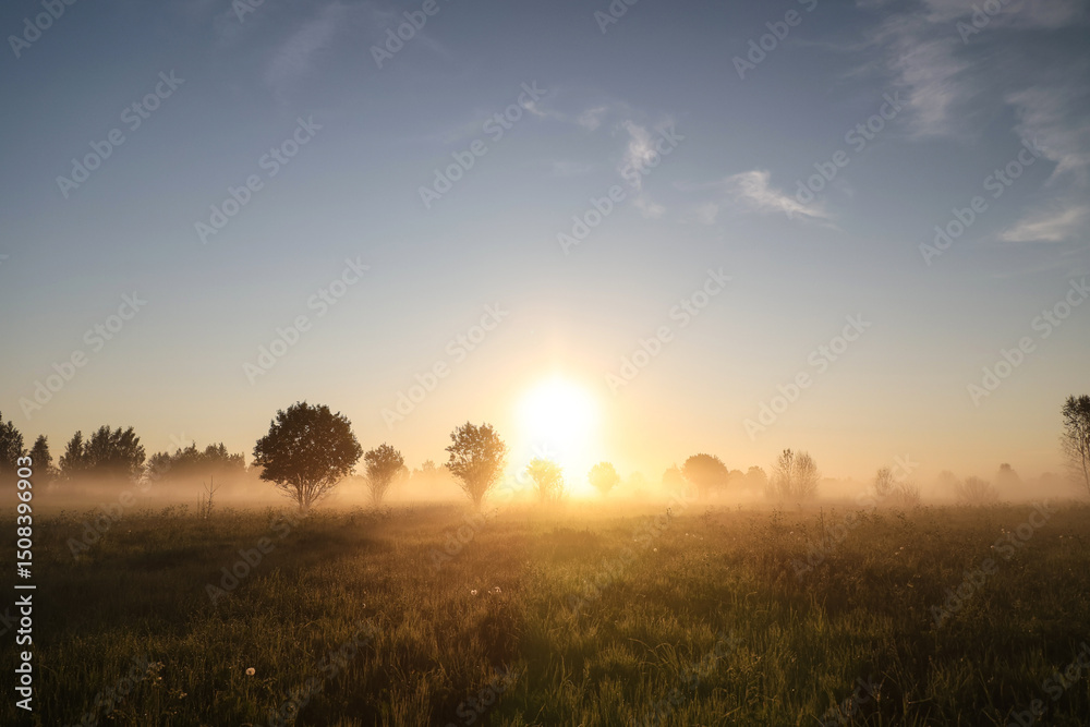Misty landscape at dawn. The sun rises over a field and trees Misty landscape at dawn. The sun rises over a field and trees