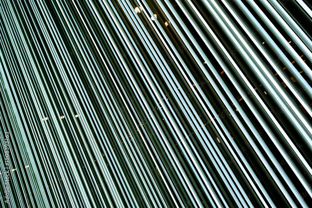 Obraz premium parallel diagonal straight neon lights