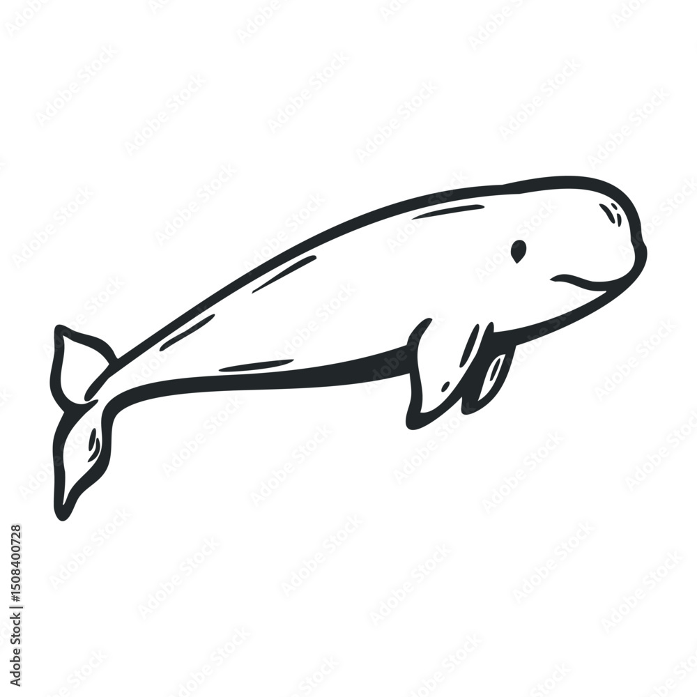 Fototapeta premium Hand-drawn beluga whale illustration in simple black line art style – stock vector icon in line drawing style