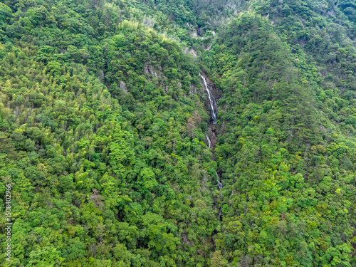 Waterfall in the mountain stream