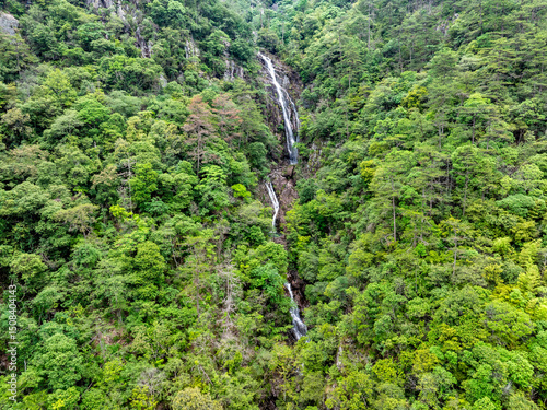 Waterfall in the mountain stream
