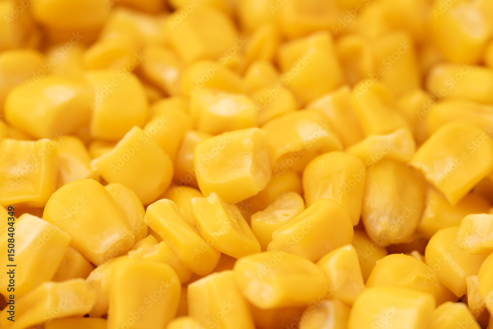 Sweet corn kernels. Sweet yellow canned corn. Fresh corn kernels. Slowly rotating in a circle Sweet corn kernels. Sweet yellow canned corn. Fresh corn kernels. Slowly rotating in a circle