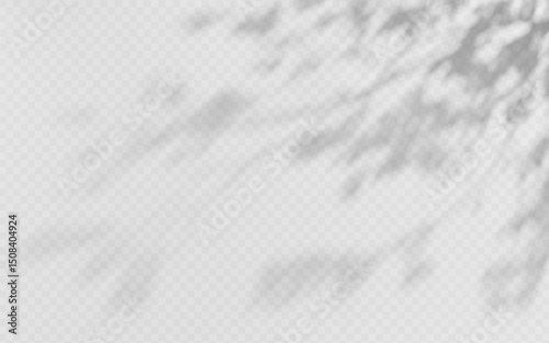 Shadow overlay from a tree branch isolated on a transparent background.