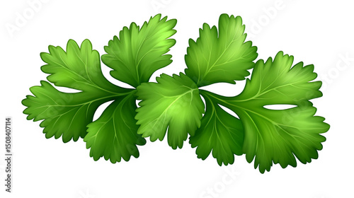 A close-up illustration showcases a cluster of vibrant green cilantro leaves, exhibiting intricate details and texture isolated on transparent or white background. Generative ai