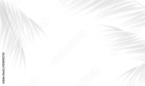 The transparent shadow overlay effect bamboo leaves isolated on transparent background. Mockup of tropic leaves shadow and natural lightning. Realistic shadow of palm branch. Vector illustration