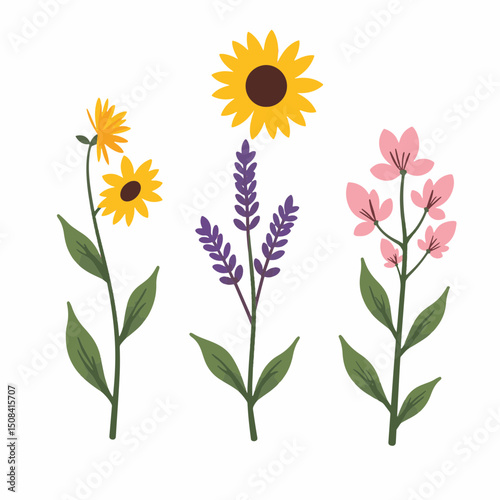 Vibrant pollinator-friendly plants arrangement, nature illustration