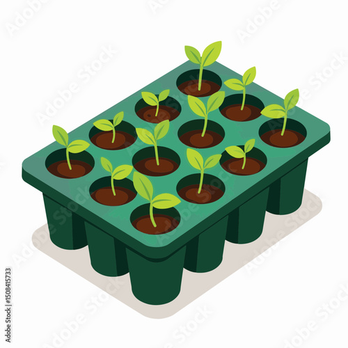 Growing seedlings in a tray on a white background, nature's promise