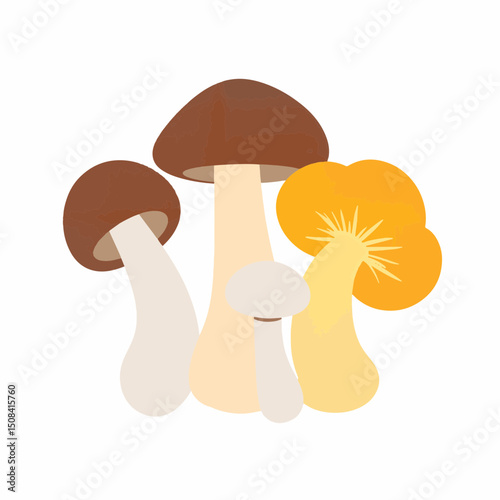 Colorful cluster of edible mushrooms on white background, nature's bounty