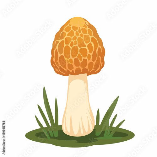 Illustration of morel mushroom on forest floor, natural beauty