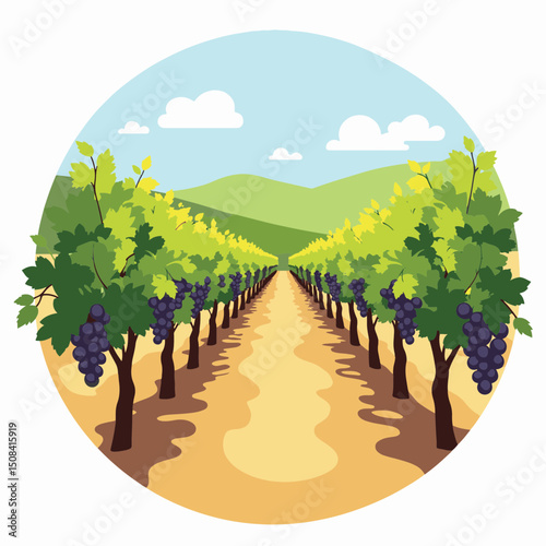 Picturesque vineyard with grapevines under clear blue sky, nature's bounty