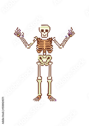  joints serve as fulcrums. Muscles attach to bones via tendons, and their contraction pulls on the bones, producing movement. Hematopoiesis (Blood Cell Formation): Red bone marrow, found within the 