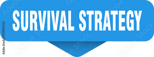 survival strategy sticker. survival strategy sign on transparent background