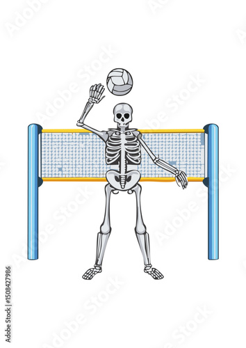 skeleton Play is a natural outlet for pent-up energy and frustration. It allows cats to express their natural instincts in a safe and appropriate manner, reducing stress and anxiety. For a breed as ca