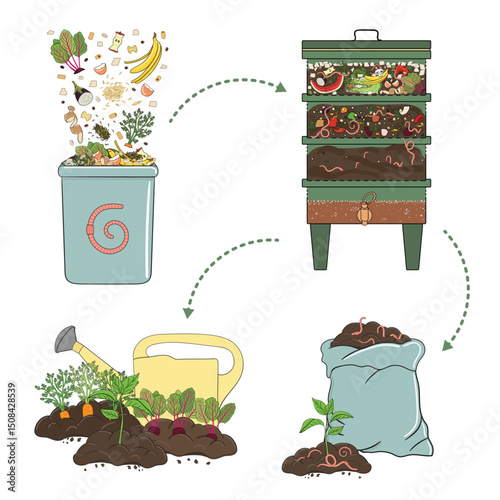 Schema of recycling organic waste from collecting kitchen scraps to use vermicompost and compost tea for gardening. Recycling organic waste. Zero waste concept. Hand drawn vector illustration