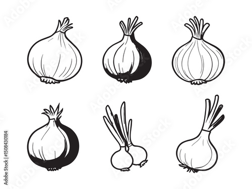 Onions line art illustration