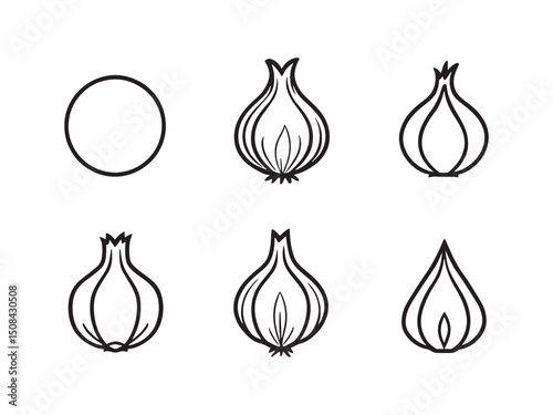 Onions line art illustration