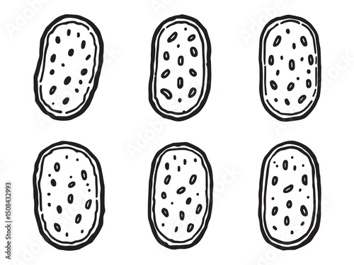 Pickles vector line art illustration