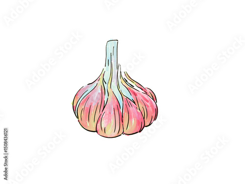 garlic isolated on white background
