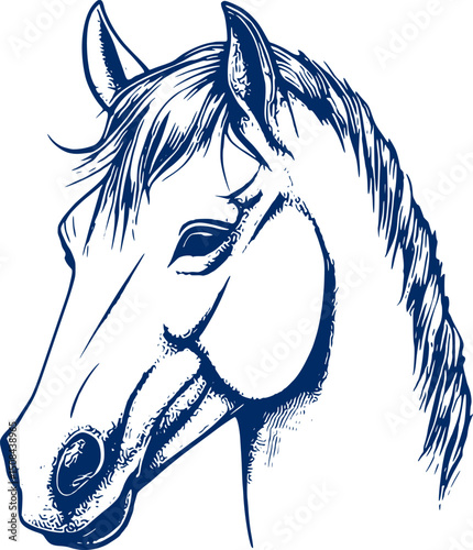 Horse symbol vector. Horse sign icon. Face of a horse. Head of a horse