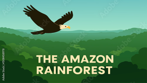Eagle's View of the Amazon Rainforest