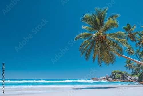 A tropical beach with palm trees, captured in a vintage tone with film distress and a warm flare