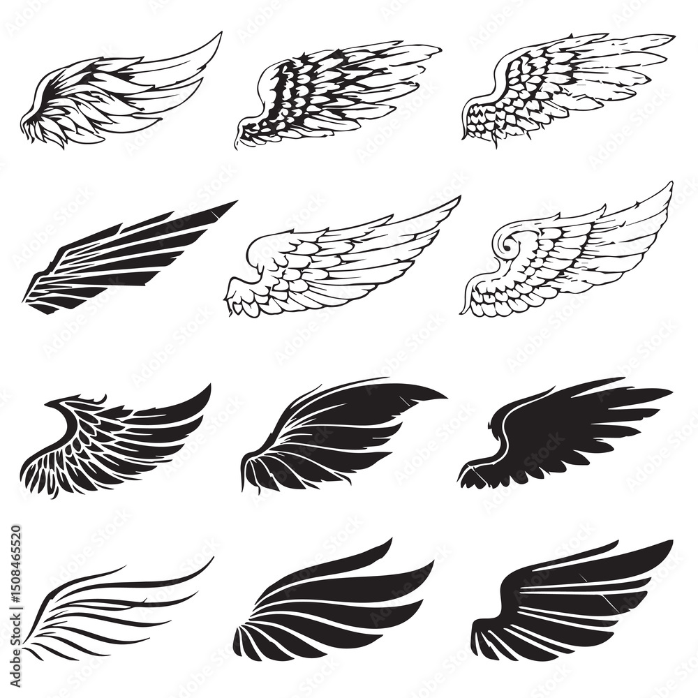 Obraz premium birds wing vectore image