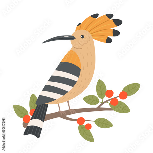 Cute hoopoe bird sitting on branch with  red berries. Vector cartoon illustration of big bird with crest on white background.