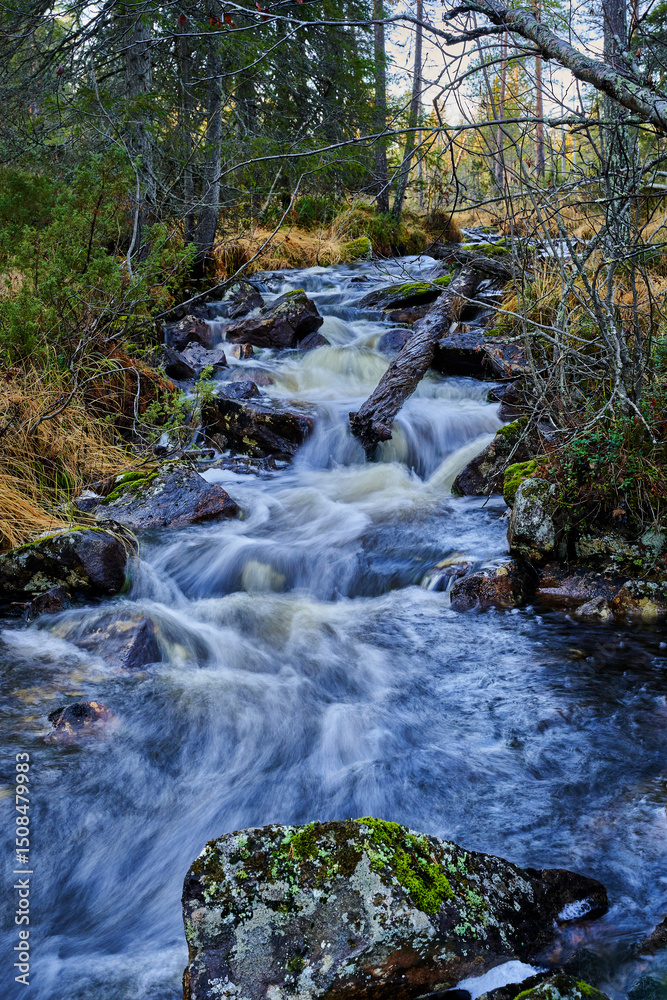 Fototapeta premium mountain river in the forest