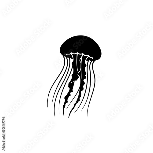 Jellyfish Marine Animal Illustration for Educational Use
