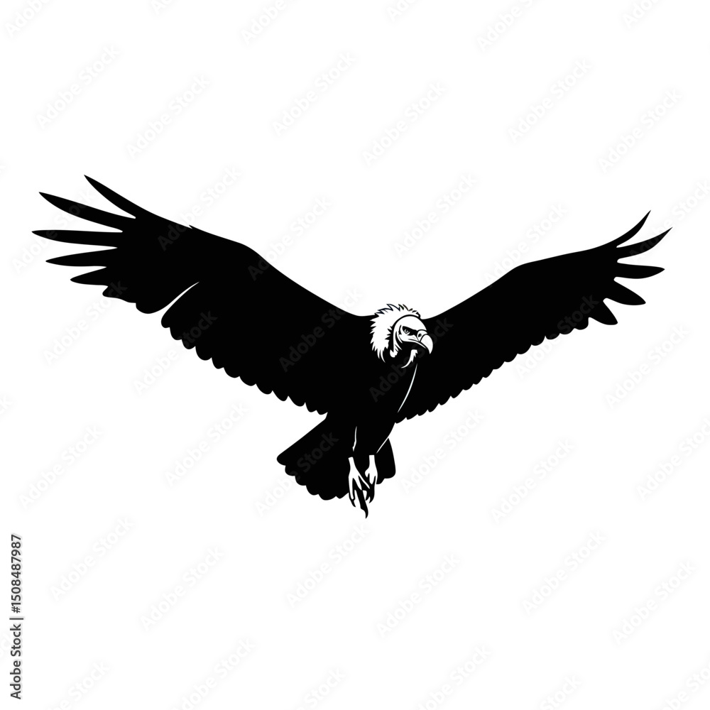 Fototapeta premium Eagle silhouette flying with wings spread wide 