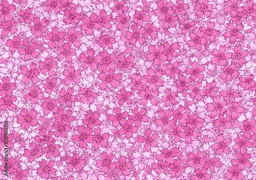 シームレスな芝桜の背景素材