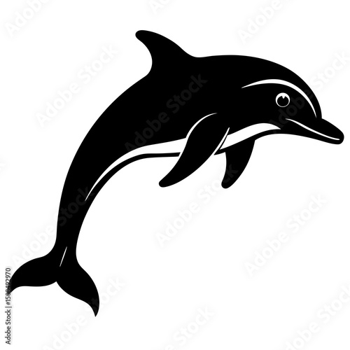 dolphin jumping on white background .svg