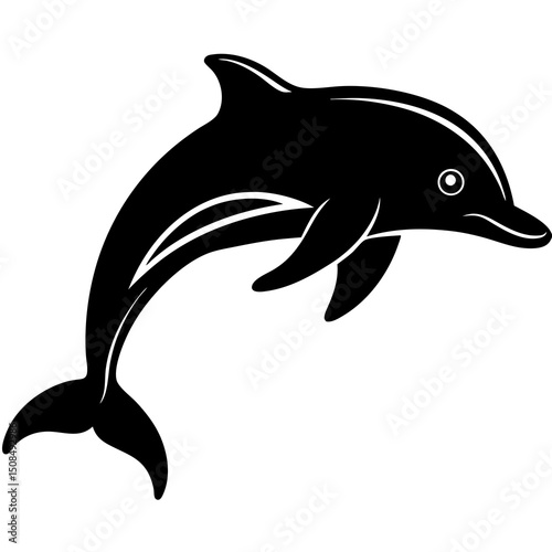dolphin jumping on white background 