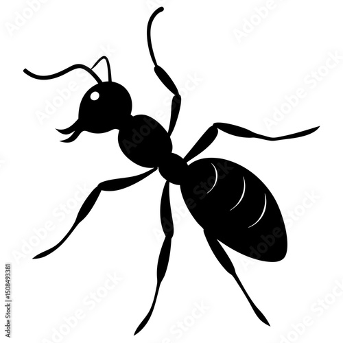 ant marching on white background .svg