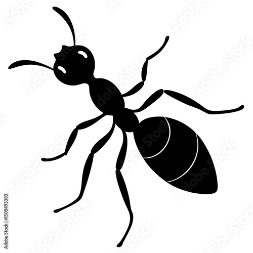 ant vector illustration