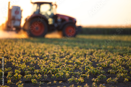Tractor spraying soybean crops field