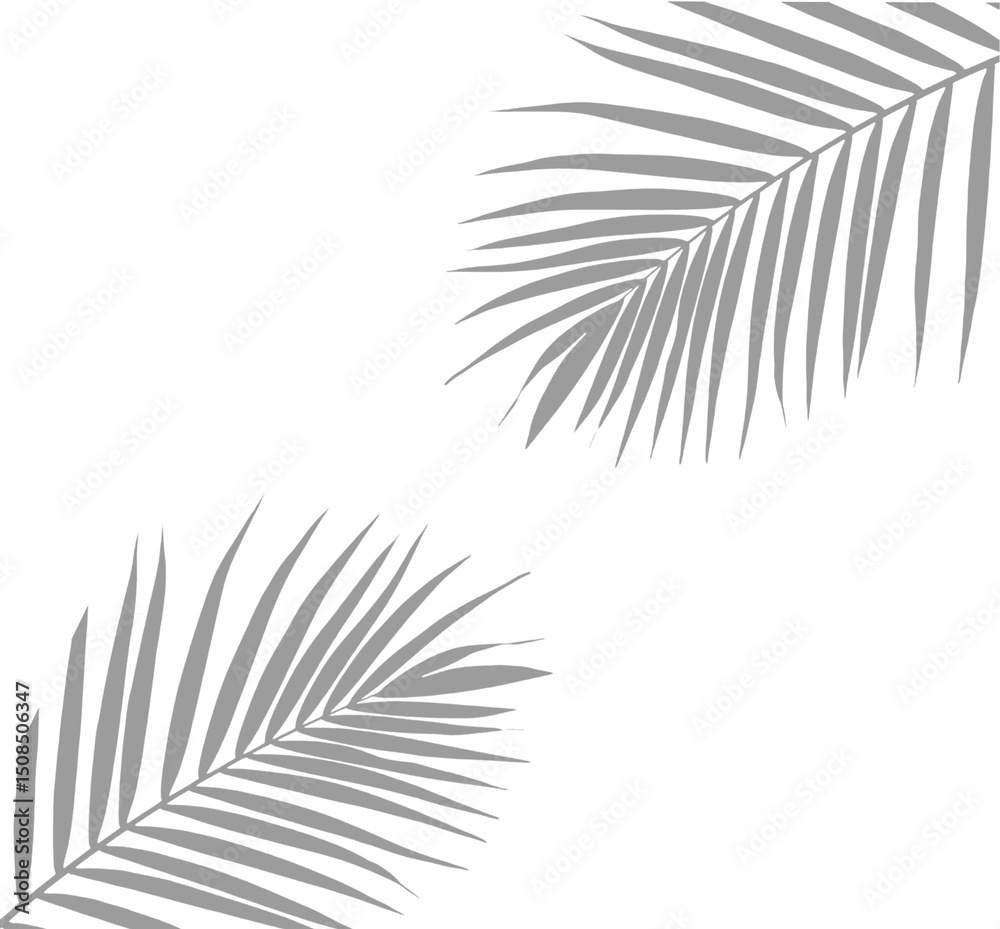 Naklejka premium palm leaf shadow isolated on white background