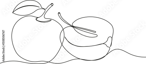 Continuous line drawing of two apples representing healthy eating, vegan and raw food lifestyle. Ideal for nutrition, wellness, summer fruit themes, and clean eating concepts in a modern minimalist st