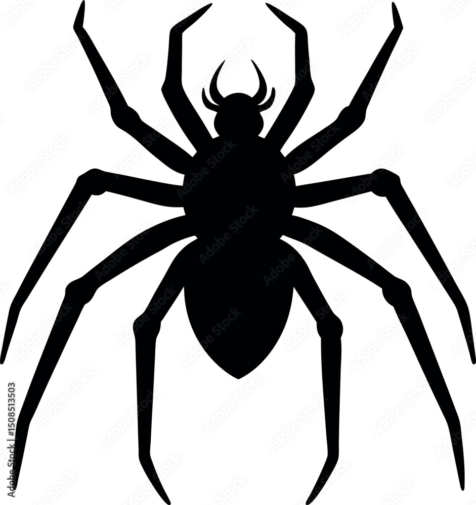 Obraz premium spider isolated on white background