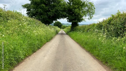 Driving down the hill narrow lane framed by green flowering plant hedgerow in Cotswolds.