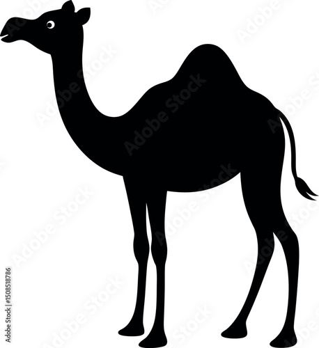 camel in desert