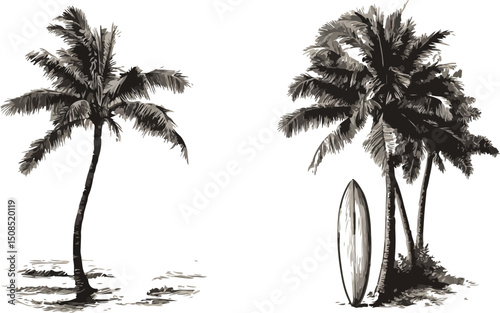 palm tree monochrome print, drawing tropics coconut tree island plant birds vector illustration, Black palm tree silhouettes